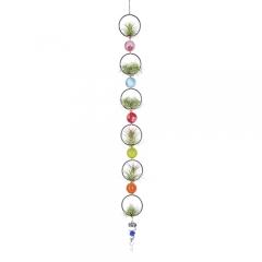 11PCS Rings & Balls Air Plant Vertical Displaying DIY Kit