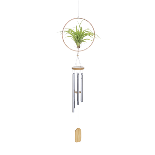 Air Plant Hanging Ring with Wind Chime Set