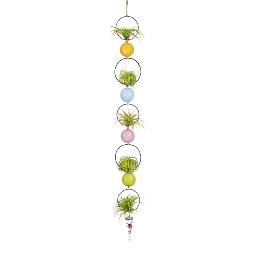 Tillandsiart Rings & Balls Air Plant Hanging Display Set - 9Pcs DIY Kit