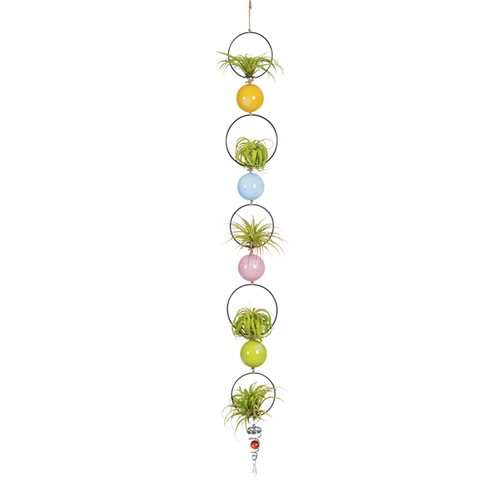 Tillandsiart Rings & Balls Air Plant Hanging Display Set - 9Pcs DIY Kit