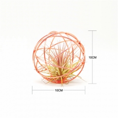 4Pack Tillandsia Air Plant Cage - 10CM Copper Plated