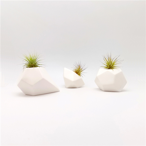 3Pcs Geometry Air Plant Mounting Bases Set