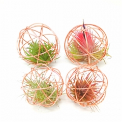 4Pack Tillandsia Air Plant Cage - 10CM Copper Plated