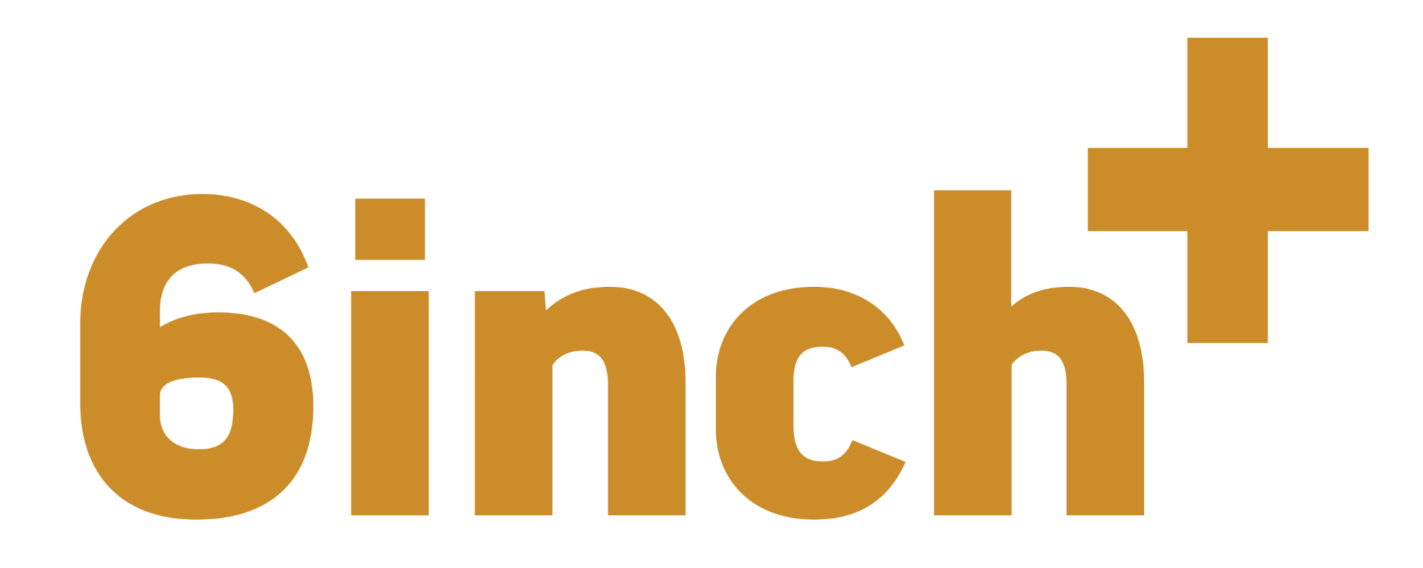 6inchplus