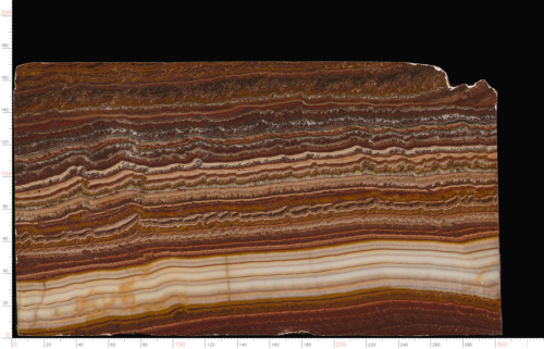 Tiger Onyx