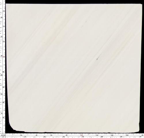 Pirgon White