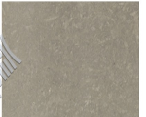 MOREONYX Cambrian