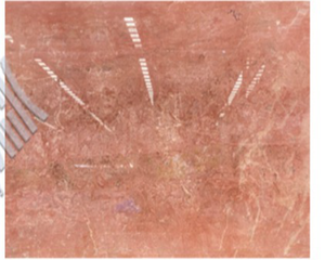 Rosso Classico ultra-thin translucent slab - product photo