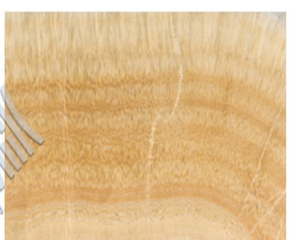Honey Onyx
