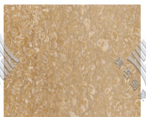 Salsali Bella ultra-thin translucent slab - product photo
