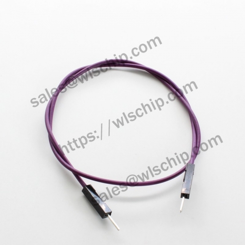 Dupont Male to Male Length 30cm Cable Purple