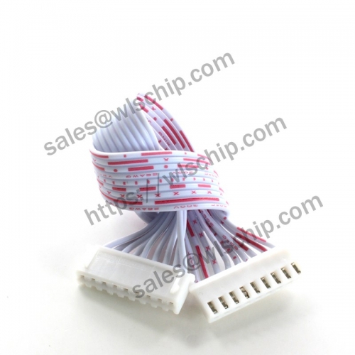 XH2.54 red and white cable connection cable length 20cm double head 10Pin