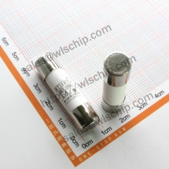 R015 fuse 10 * 38cm 500V 1A fuse fuse