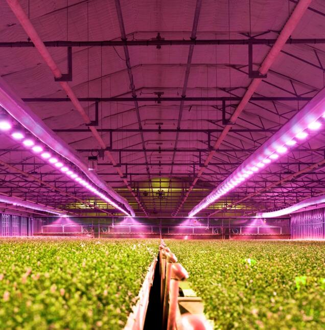 AMS Osram and Energous join forces to develop wirelessly powered multispectral sensing solutions for agricultural sensing applications