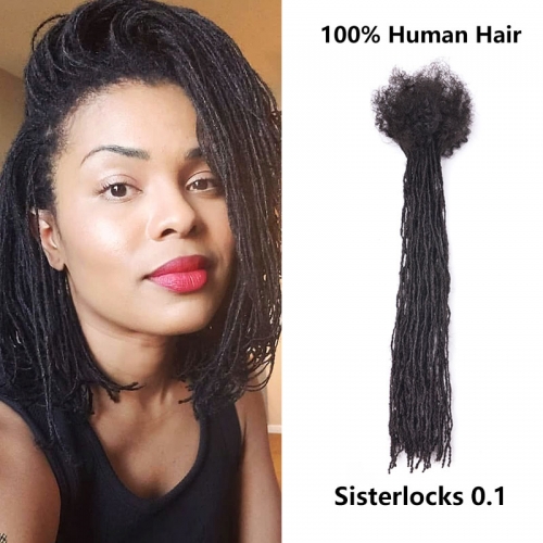 Micro Faux Locs Crochet Hair, Sister Mini (0.1 cm) Afro Locks Braids Styles  ( Free crochet hook + Free shipping)