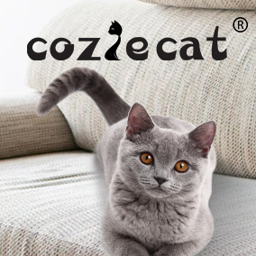COZIE CAT