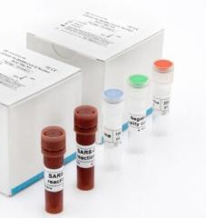 Disposable Virus Collection Tube,Consumble