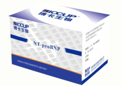 H-FABP Detection Kits (Colloidal gold)