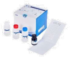 Blot Line Allergy Product