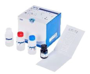 Blot Line Allergy Product