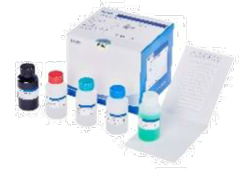 Blot Line Allergy Product