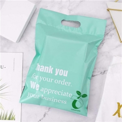 Hot Sell High Quality Custom Printed Express Poly Mailer Plastic Mailing Bag