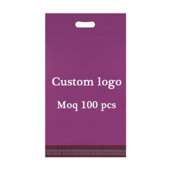 Hot Sell High Quality Custom Printed Express Poly Mailer Plastic Mailing Bag