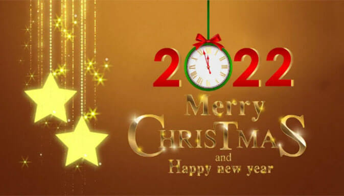 Merry Christmas,Happy New Year,Wonderful Festive Season!