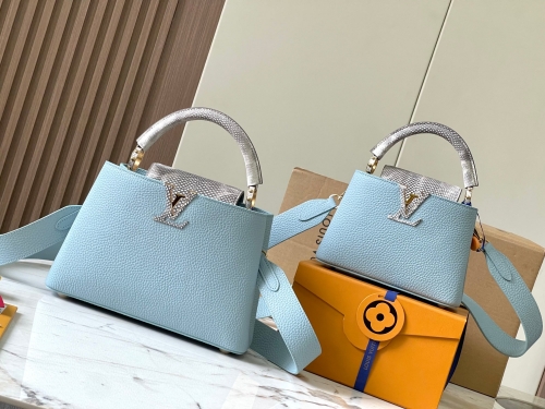 No.55608  N80931 21*14*8cm N80741 27*18*9cm Imported calf leather from France, haze blue, exotic snake skin python gold buckle