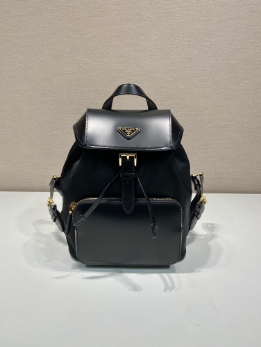 No.57020     1BZ074     20.5*25*11.5cm    New backpack Imported nylon fabric and glossy cowhide