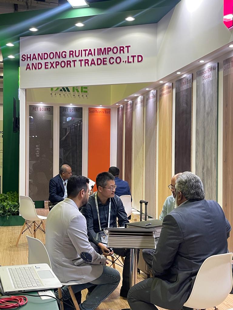 "Successful Participation in THE BIG 5 Exhibition: Shandong Ruitai Impresses with Synchronized Panels Design"