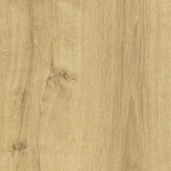 DR-T022Z-1 Soria Oak