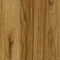 DR-T072Z-1 Kania Oak