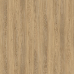 DR-T042Z-2 Norwegian Forest