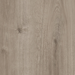 DR-T022Z-2 Soria Oak