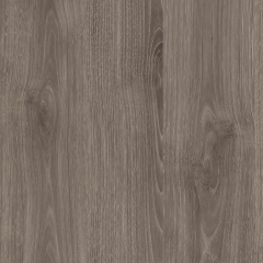 DR-T024Z-3 Greenland Chestnut