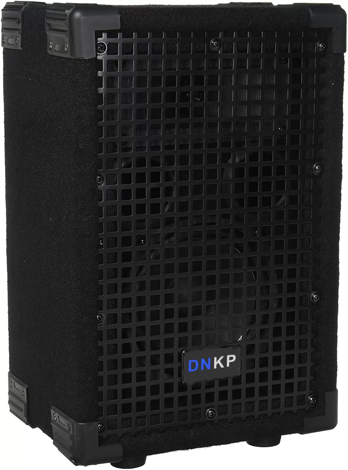 DNKP Passive 5 Inch 2-Way PA/DJ Loudspeaker Cabinet - 300 Watt Full Range PA/DJ Band Live Sound Speaker