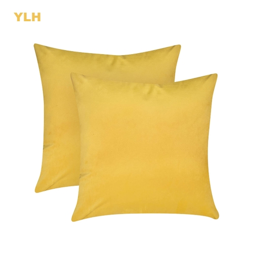 YLH 2 Pack Velvet Pillow Covers Soft Decorative Throw Pillow Covers Square Velvet Pillows Cushion Case for Sofa Bedroom Car, 18 x 18 inch