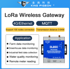 4G Lora Gateway (4G+Ethernet+Lora)