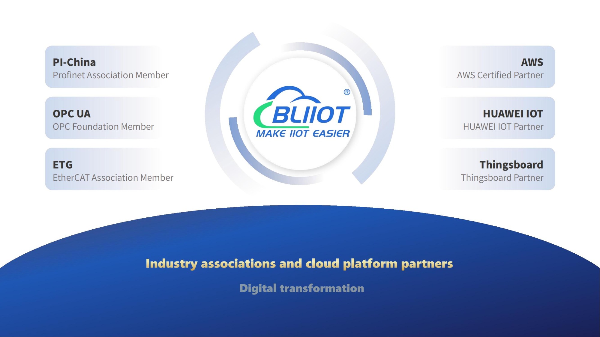 BLIIoT IoT Associates