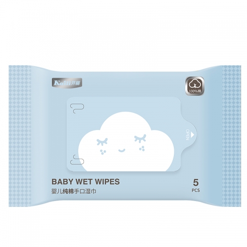 Baby Wet Wipes 5 Pcs