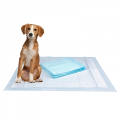 Disposable Pet Training Pads