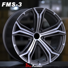 FMS-3