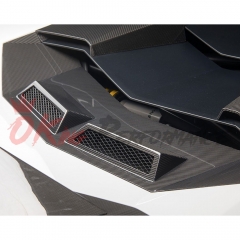 Dry Carbon Fiber Rear Engine Vents For Lamborghini Aventador LP700-4