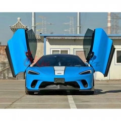 Dry Carbon Fiber Middle Lip For Mclaren GT