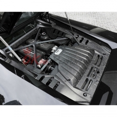 Upgrade Options Dry Carbon Fiber Engine Bay Panels Replacement Kits For Lamborghini Huracan LP610 & LP580 2014-2019
