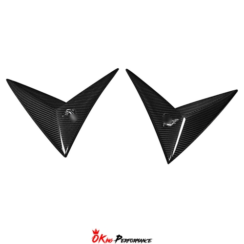 TopCar Style Dry Carbon Fiber Fender Side Trims For Lamborghini URUS 2018-2022