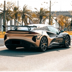 GT Style Dry Carbon Fiber Rear Spoiler Wing For Lotus Emira