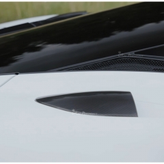 Novitec Style Dry Carbon Fiber Side Vents Trim For Mclaren GT