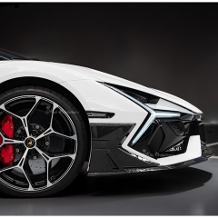 Mansory Style Dry Carbon Fiber Front Canards Side Panels For Lamborghini Revuelto 2023-ON